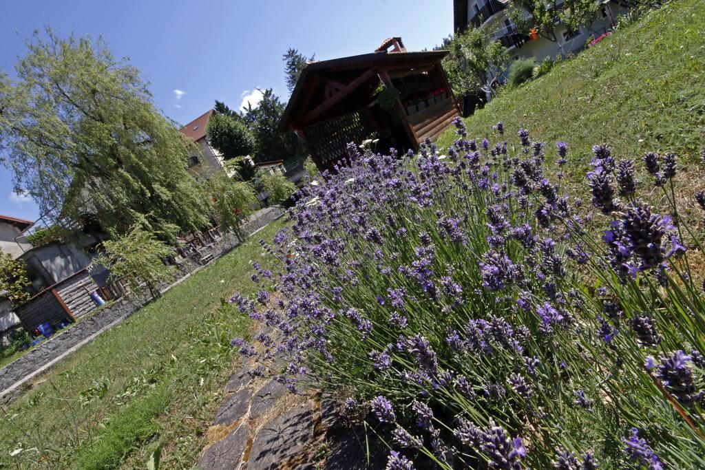 Apartment House Lalita Fužine Zewnętrze zdjęcie